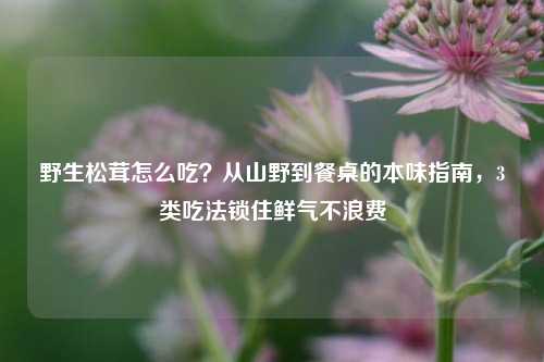 野生松茸怎么吃?从山野到餐桌的本味指南,3类吃法锁住鲜气不浪费