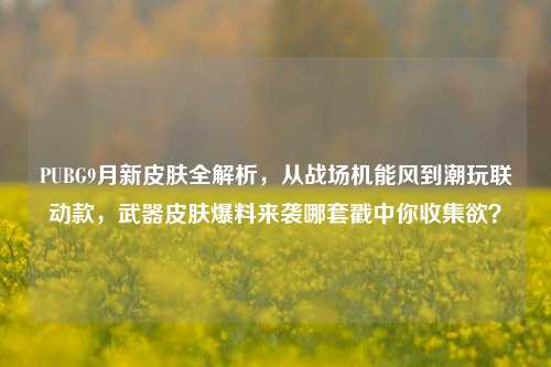 PUBG9月新皮肤全解析，从战场机能风到潮玩联动款，武器皮肤爆料来袭哪套戳中你收集欲？