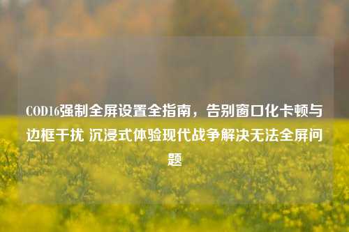 COD16强制全屏设置全指南，告别窗口化卡顿与边框干扰 沉浸式体验现代战争解决无法全屏问题