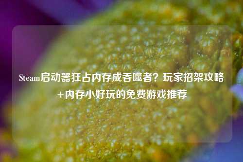 Steam启动器狂占内存成吞噬者？玩家招架攻略+内存小好玩的免费游戏推荐