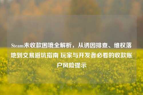 Steam未收款困境全解析，从诱因排查、维权落地到交易避坑指南 玩家与开发者必看的收款账户风险提示