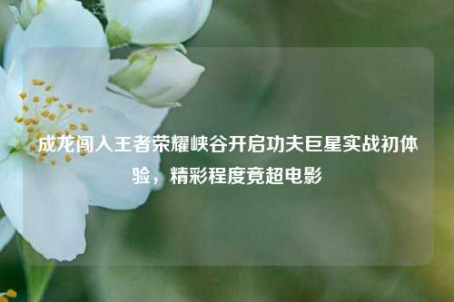 成龙闯入王者荣耀峡谷开启功夫巨星实战初体验，精彩程度竟超电影
