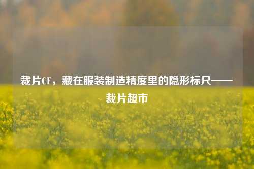 裁片CF，藏在服装制造精度里的隐形标尺——裁片超市