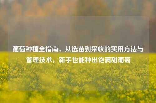 葡萄种植全指南，从选苗到采收的实用方法与管理技术，新手也能种出饱满甜葡萄