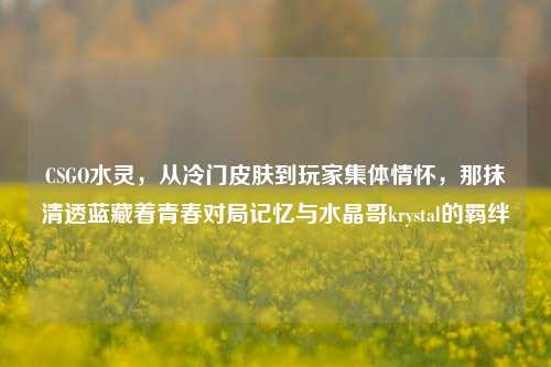 CSGO水灵，从冷门皮肤到玩家集体情怀，那抹清透蓝藏着青春对局记忆与水晶哥krystal的羁绊