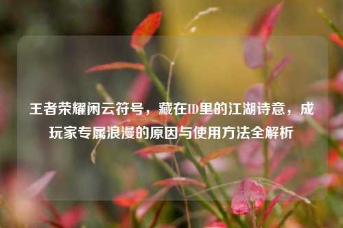 王者荣耀闲云符号，藏在ID里的江湖诗意，成玩家专属浪漫的原因与使用方法全解析