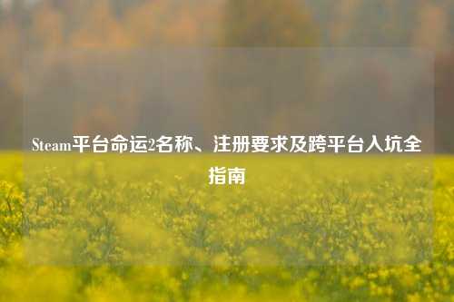 Steam平台命运2名称、注册要求及跨平台入坑全指南