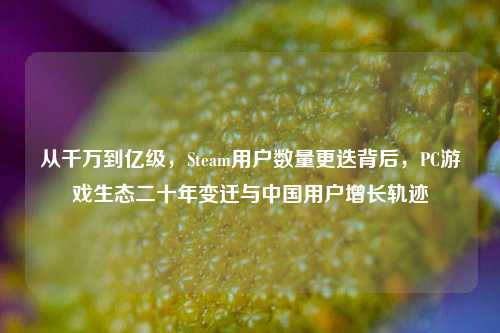 从千万到亿级，Steam用户数量更迭背后，PC游戏生态二十年变迁与中国用户增长轨迹