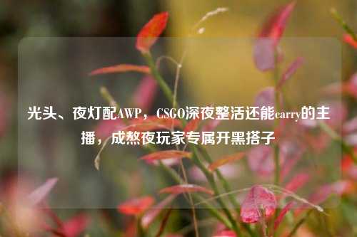 光头、夜灯配AWP，CSGO深夜整活还能carry的主播，成熬夜玩家专属开黑搭子