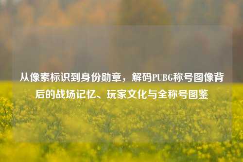 从像素标识到身份勋章，解码PUBG称号图像背后的战场记忆、玩家文化与全称号图鉴