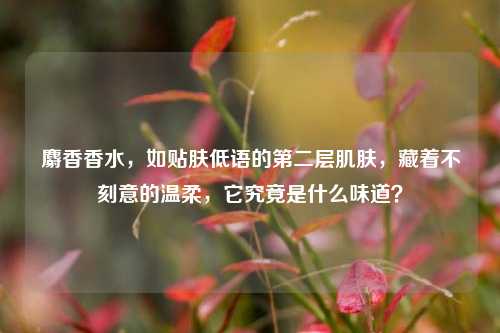 麝香香水，如贴肤低语的第二层肌肤，藏着不刻意的温柔，它究竟是什么味道？
