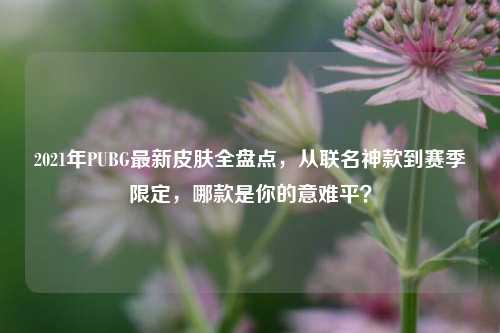 2021年PUBG最新皮肤全盘点，从联名神款到赛季限定，哪款是你的意难平？