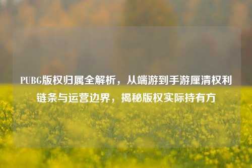 PUBG版权归属全解析，从端游到手游厘清权利链条与运营边界，揭秘版权实际持有方