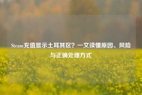 Steam充值显示土耳其区？一文读懂原因、风险与正确处理方式