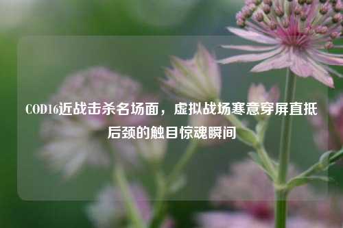 COD16近战击杀名场面，虚拟战场寒意穿屏直抵后颈的触目惊魂瞬间