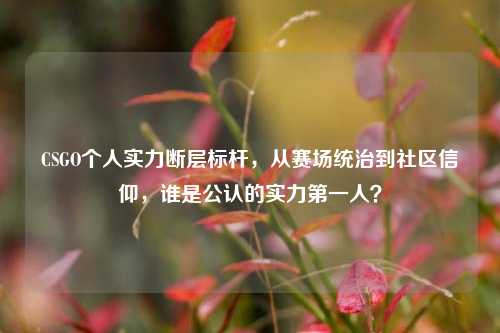 CSGO个人实力断层标杆，从赛场统治到社区信仰，谁是公认的实力第一人？