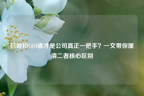 总裁和CEO谁才是公司真正一把手?一文带你厘清二者核心区别