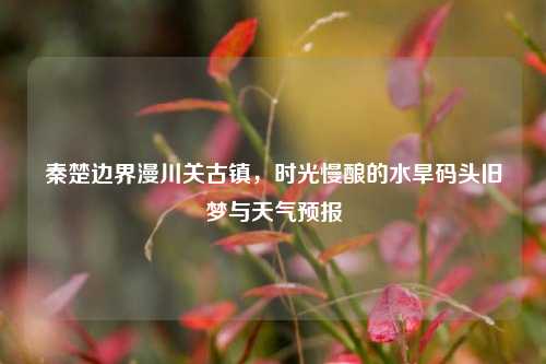 秦楚边界漫川关古镇，时光慢酿的水旱码头旧梦与天气预报