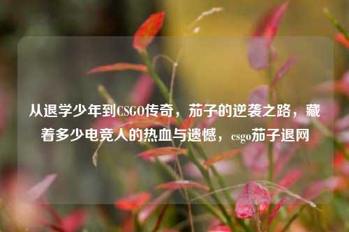 从退学少年到CSGO传奇，茄子的逆袭之路，藏着多少电竞人的热血与遗憾，csgo茄子退网