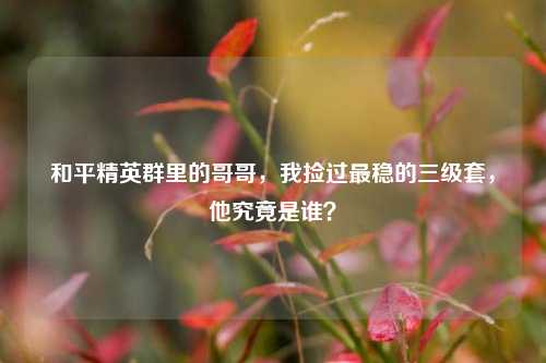 和平精英群里的哥哥,我捡过最稳的三级套,他究竟是谁?