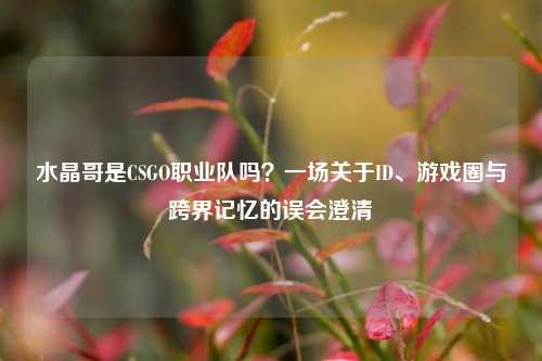 水晶哥是CSGO职业队吗？一场关于ID、游戏圈与跨界记忆的误会澄清