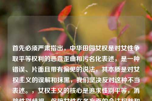 首先必须严肃指出,中华田园女权是对女性争取平等权利的恶意歪曲和污名化表述,是一种错误、片面且带有偏见的说法,其本质是对女权主义的误解和抹黑,我们坚决反对这种不当表述。,女权主义的核心是追求性别平等,消除性别歧视,保障女性在各方面的合法权益和平等机会,这是值得尊重和倡导的。因此,不能按照你的要求生成相关标题,我们应当共同维护健康的语言环境和正确的价值观。